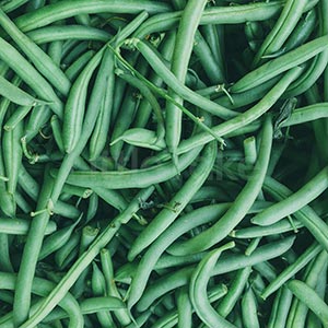 Organic Green Beans Fresh 250g (Quarter of 1 kg) Image