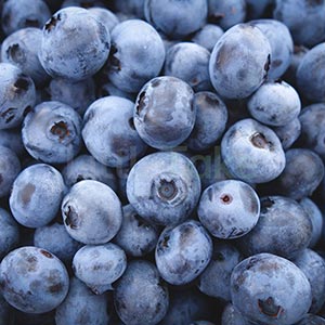 Fresh Blue Berries 250g (Quarter of 1 kg) Image