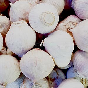 Garlic white color 250g (Quarter of 1 kg) Image