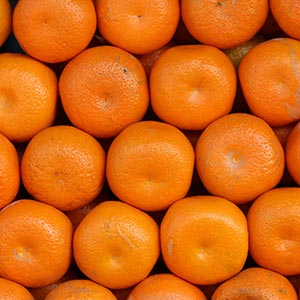 Kamala Orange fruits 1kg Image