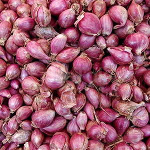 Small fresh Onion organic half kg Image