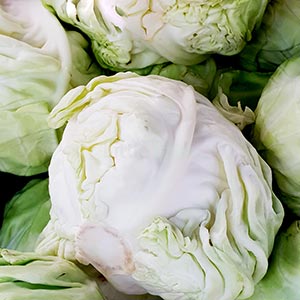 Cabbage fresh green full size Image