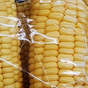 Sweet Corn Premium Full size per piece Image