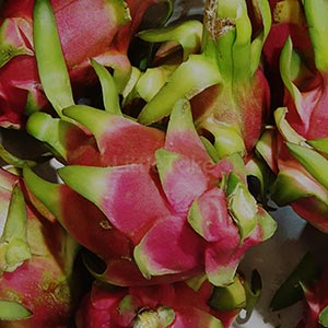 Dragon fruit Pitaya White color per piece Image