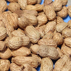 Peanut Shelled Raw Fresh Sun-Dried 1kg (ver kadalai) Image