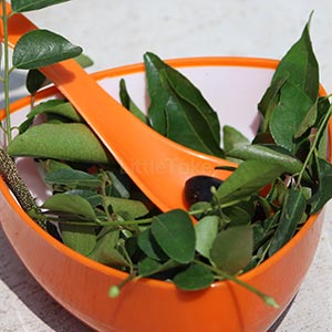 Curry leaves 200g fresh green leaf Image